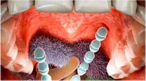 genetikai tényezők